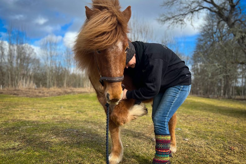 Behandlung eines Pferdes