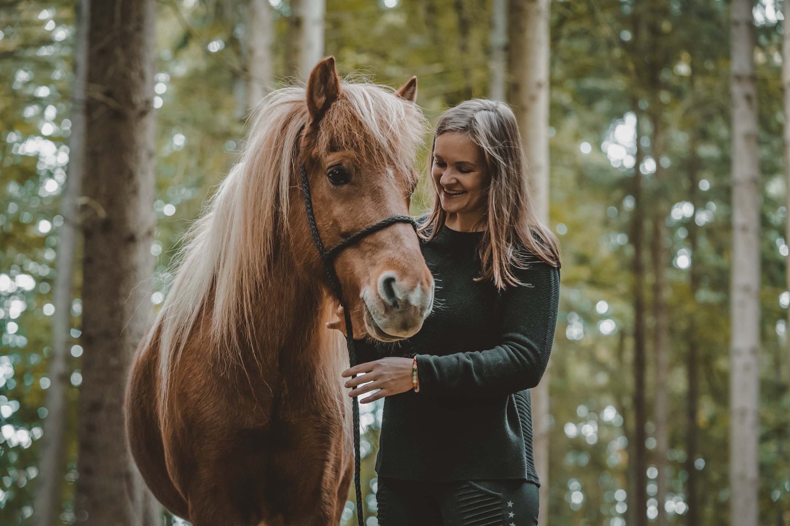 Happy horse - JORDVIND