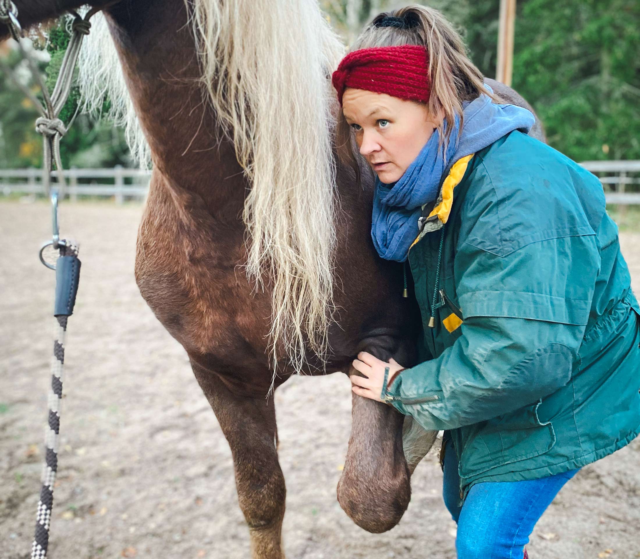 JORDVIND - Hästterapeut