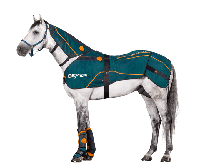 BEMER® Horse Set